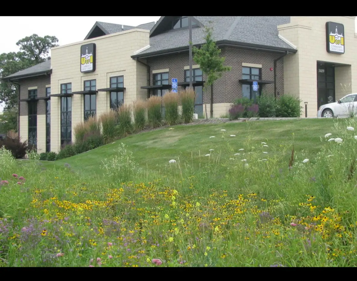 Professional residential landscaping and plantings in Waterloo, Iowa